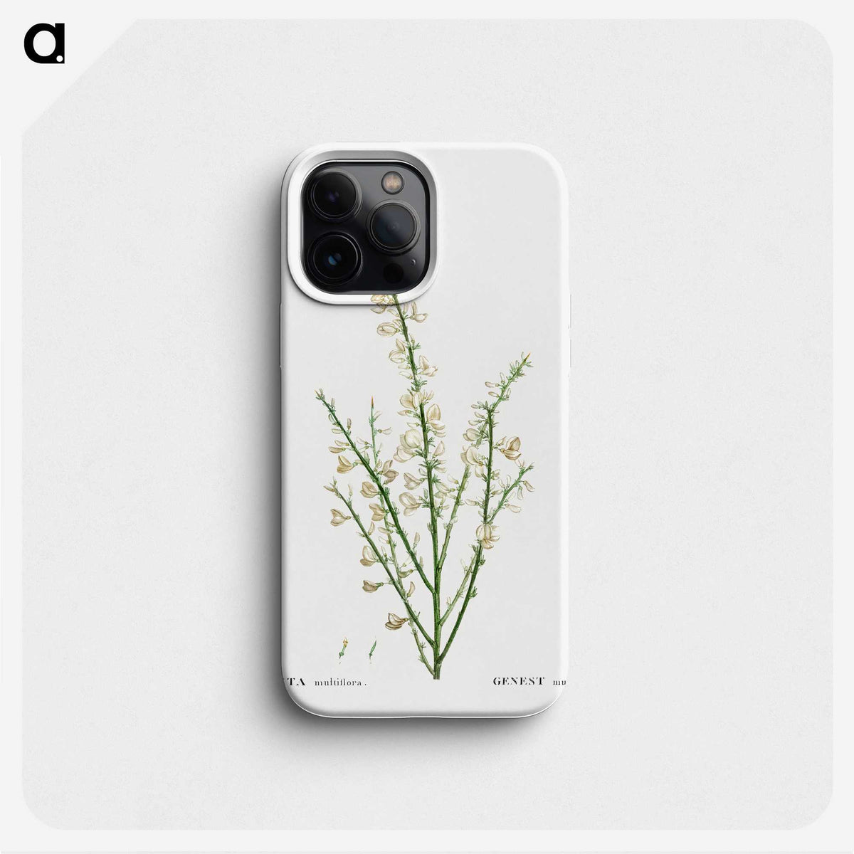 2-76_Treatise-on-Trees-and-Shrubs_phone