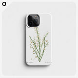2-76_Treatise-on-Trees-and-Shrubs_phone