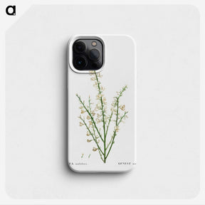 2-76_Treatise-on-Trees-and-Shrubs_phone