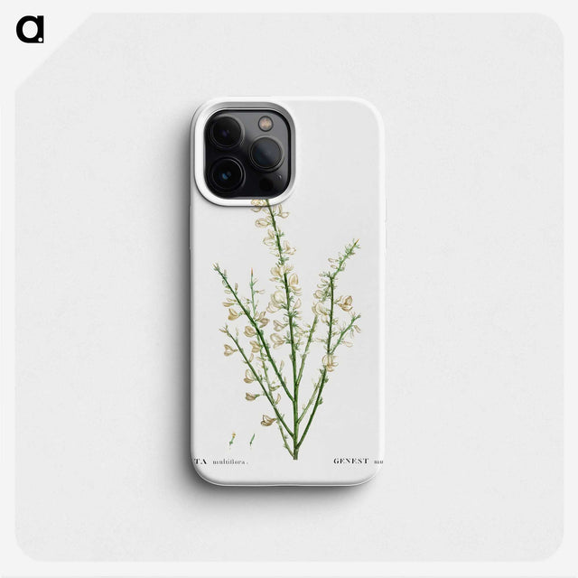 2-76_Treatise-on-Trees-and-Shrubs_phone