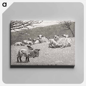 アートパネル-Spring Lamb - ウィンスロー ホーマー Canvas.