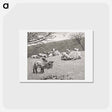 アートポストカード-Spring Lamb - ウィンスロー ホーマー Postcard.