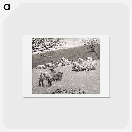 アートポストカード-Spring Lamb - ウィンスロー ホーマー Postcard.