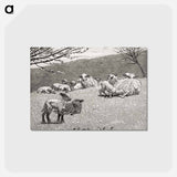 アートポストカード-Spring Lamb - ウィンスロー ホーマー Postcard.