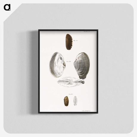 2-76_Zoology-of-New-York_blk-crop