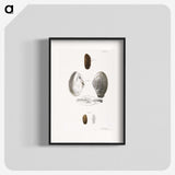 2-76_Zoology-of-New-York_blk