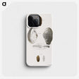 2-76_Zoology-of-New-York_phone