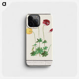 Anemone, Anemone - アンセルムス ボエティウス デ ブート Phone Case.