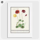 2-77_Anselmus-Boetius-de-Boodt_picture