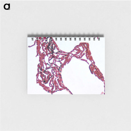 2-77_COVID-19_memo