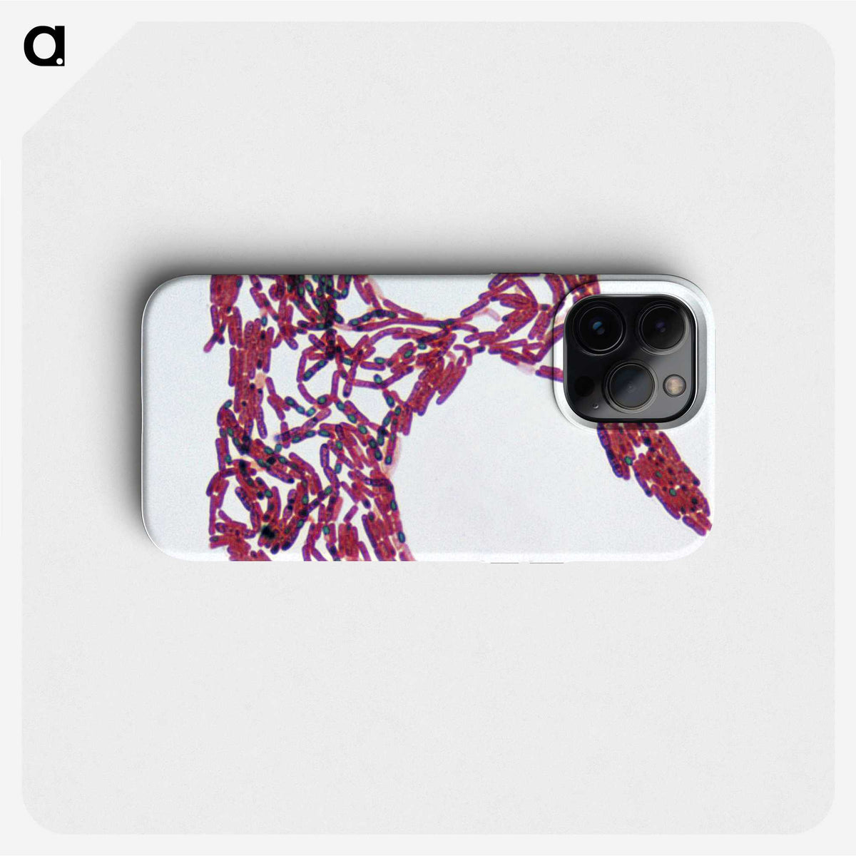 2-77_COVID-19_phone