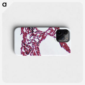 2-77_COVID-19_phone