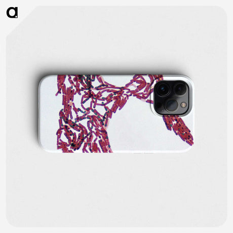 2-77_COVID-19_phone