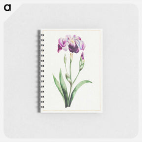 アートメモ帳-Japanese Iris
 - クリーブランド美術館 Memo.