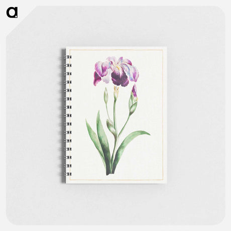 アートメモ帳-Japanese Iris
 - クリーブランド美術館 Memo.