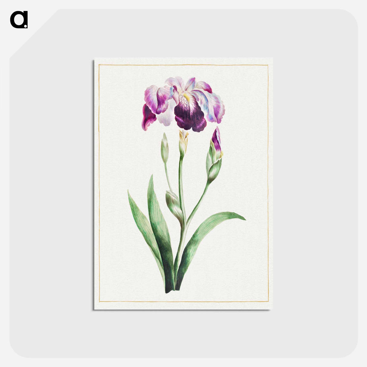 アートポストカード-Japanese Iris
 - クリーブランド美術館 Postcard.