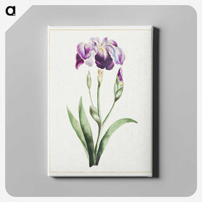 2-77_Cleveland-Museum-of-Art_canvas