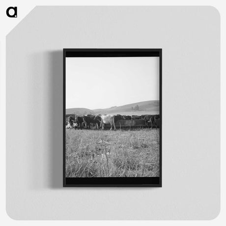2-77_Dorothea-Lange_blk-crop
