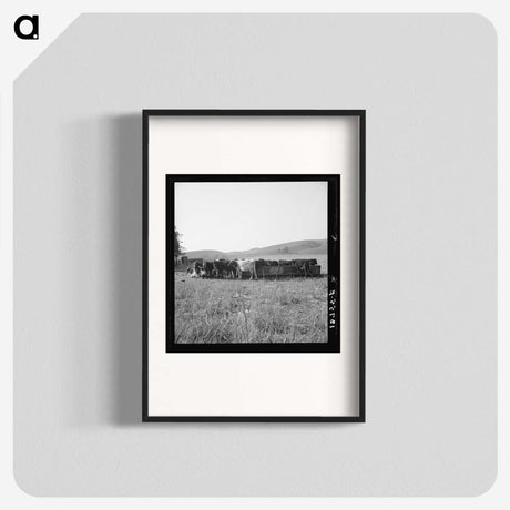 2-77_Dorothea-Lange_blk