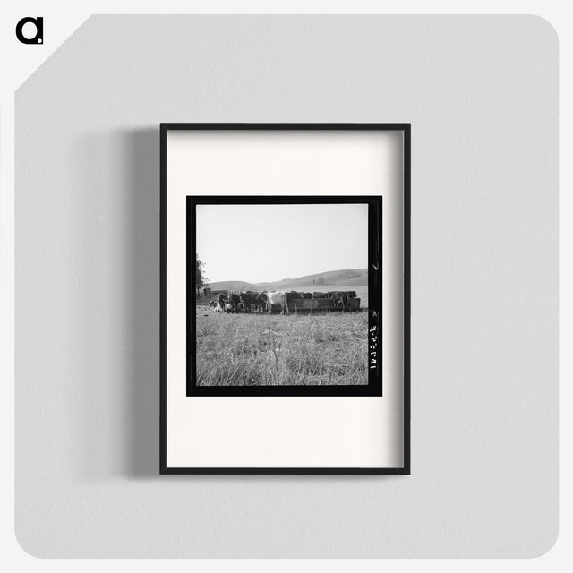 2-77_Dorothea-Lange_blk