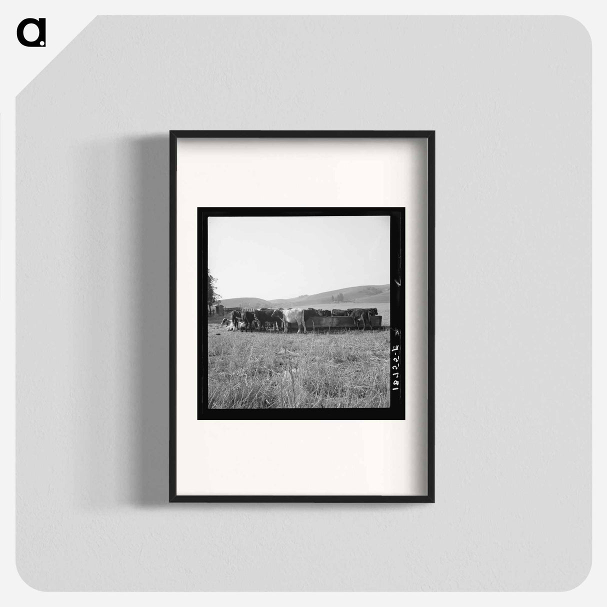 Untitled photo - Dorothea Lange Poster.