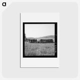 2-77_Dorothea-Lange_hagaki