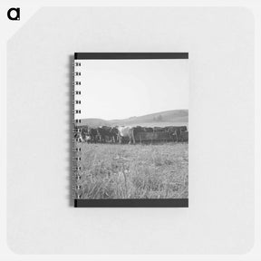 アートメモ帳-Untitled photo - ドロテア ラング Memo.