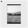 2-77_Dorothea-Lange_postcard