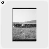 2-77_Dorothea-Lange_postcard