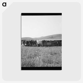 2-77_Dorothea-Lange_postcard