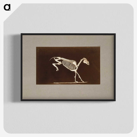 2-77_Eadweard-Muybridge_blk-crop
