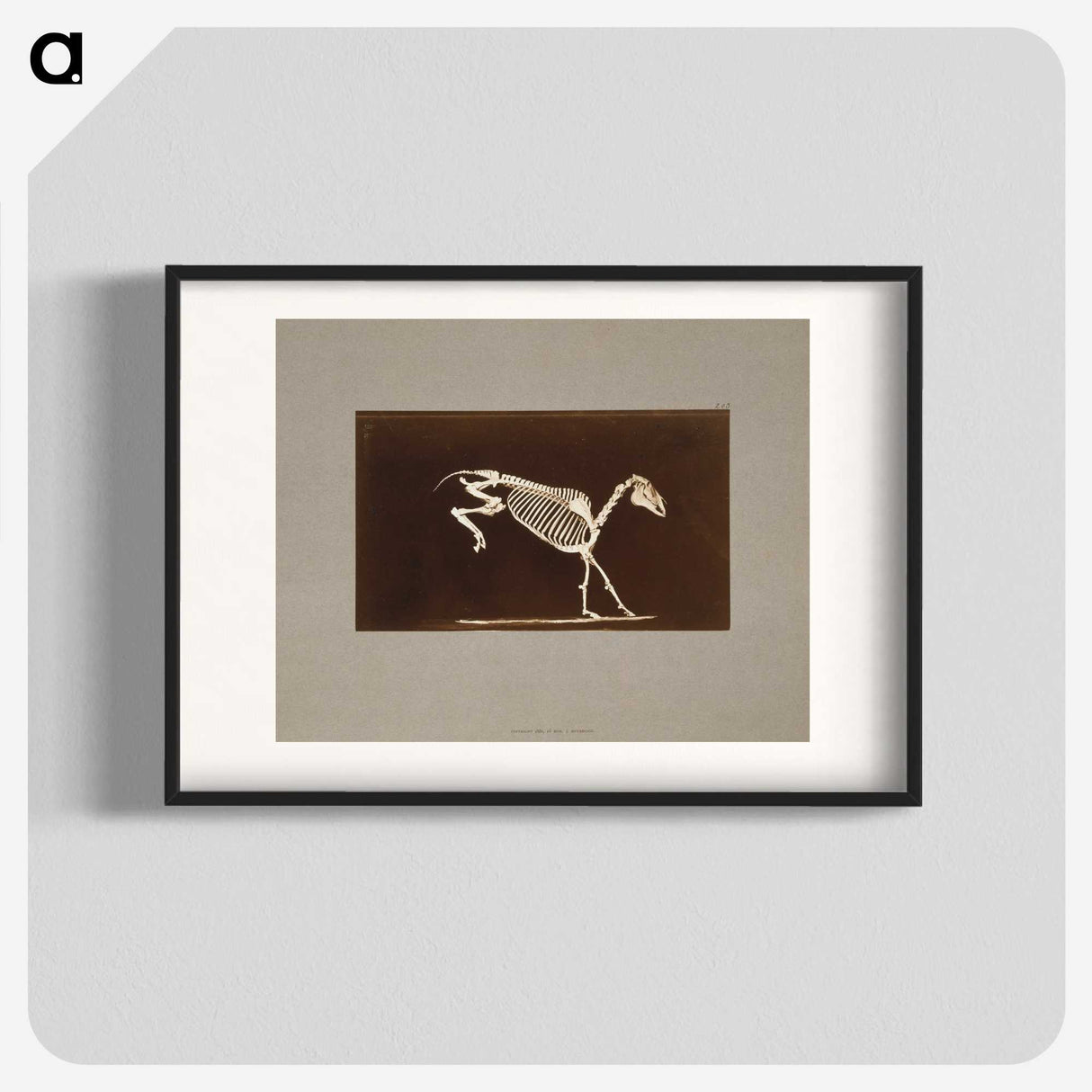 2-77_Eadweard-Muybridge_blk