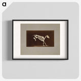 2-77_Eadweard-Muybridge_blk