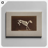 2-77_Eadweard-Muybridge_canvas