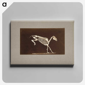 2-77_Eadweard-Muybridge_canvas