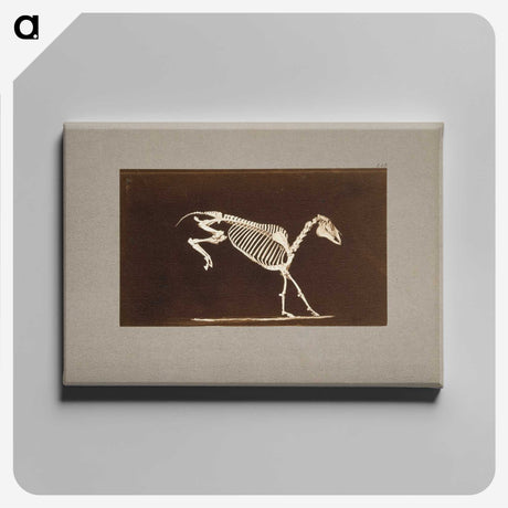 2-77_Eadweard-Muybridge_canvas