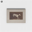 2-77_Eadweard-Muybridge_memo