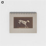 2-77_Eadweard-Muybridge_memo