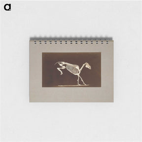 2-77_Eadweard-Muybridge_memo