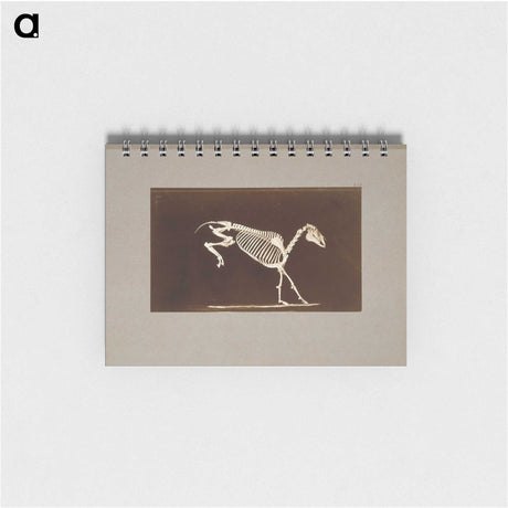 2-77_Eadweard-Muybridge_memo