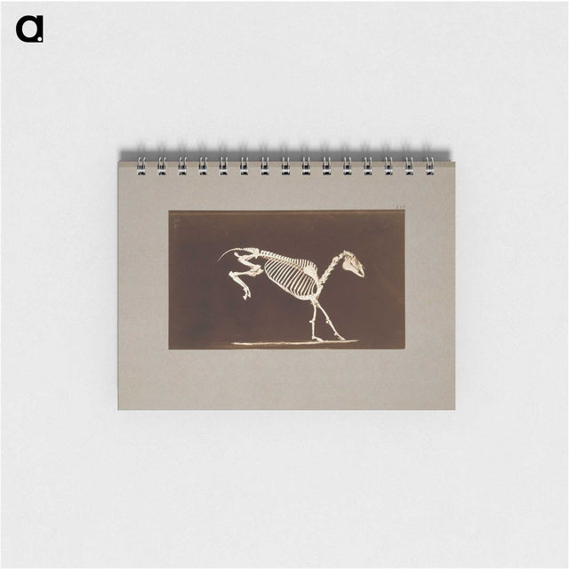 2-77_Eadweard-Muybridge_memo