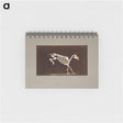 アートメモ帳-Leaping Horse Skeleton
 - エドワード マイブリッジ Memo.