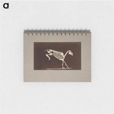 アートメモ帳-Leaping Horse Skeleton
 - エドワード マイブリッジ Memo.