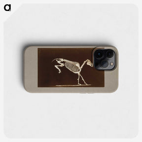 2-77_Eadweard-Muybridge_phone