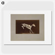 2-77_Eadweard-Muybridge_picture