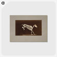 2-77_Eadweard-Muybridge_postcard