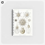 2-77_Ernst-Haeckel_memo