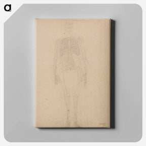 アートパネル-Human Skeleton, Anterior View
 - ジョージ スタッブス Canvas.