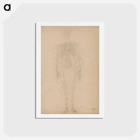 アートポストカード-Human Skeleton, Anterior View
 - ジョージ スタッブス Postcard.