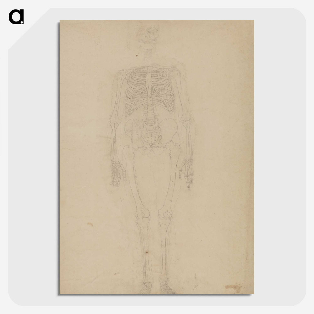 2-77_George-Stubbs_picture-crop